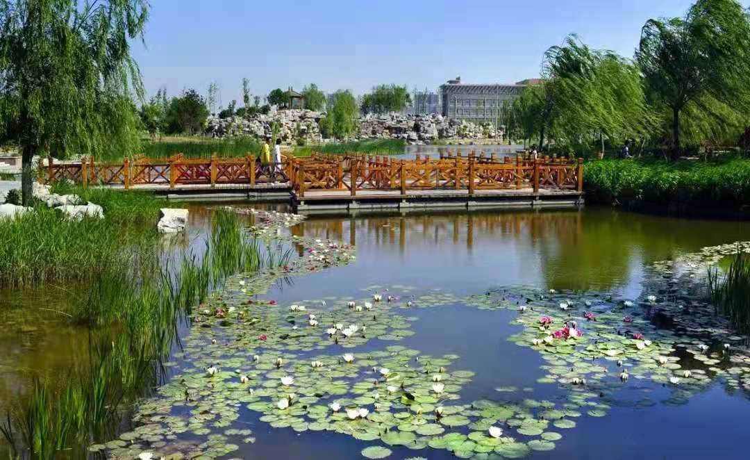 河北科技大學校園景色