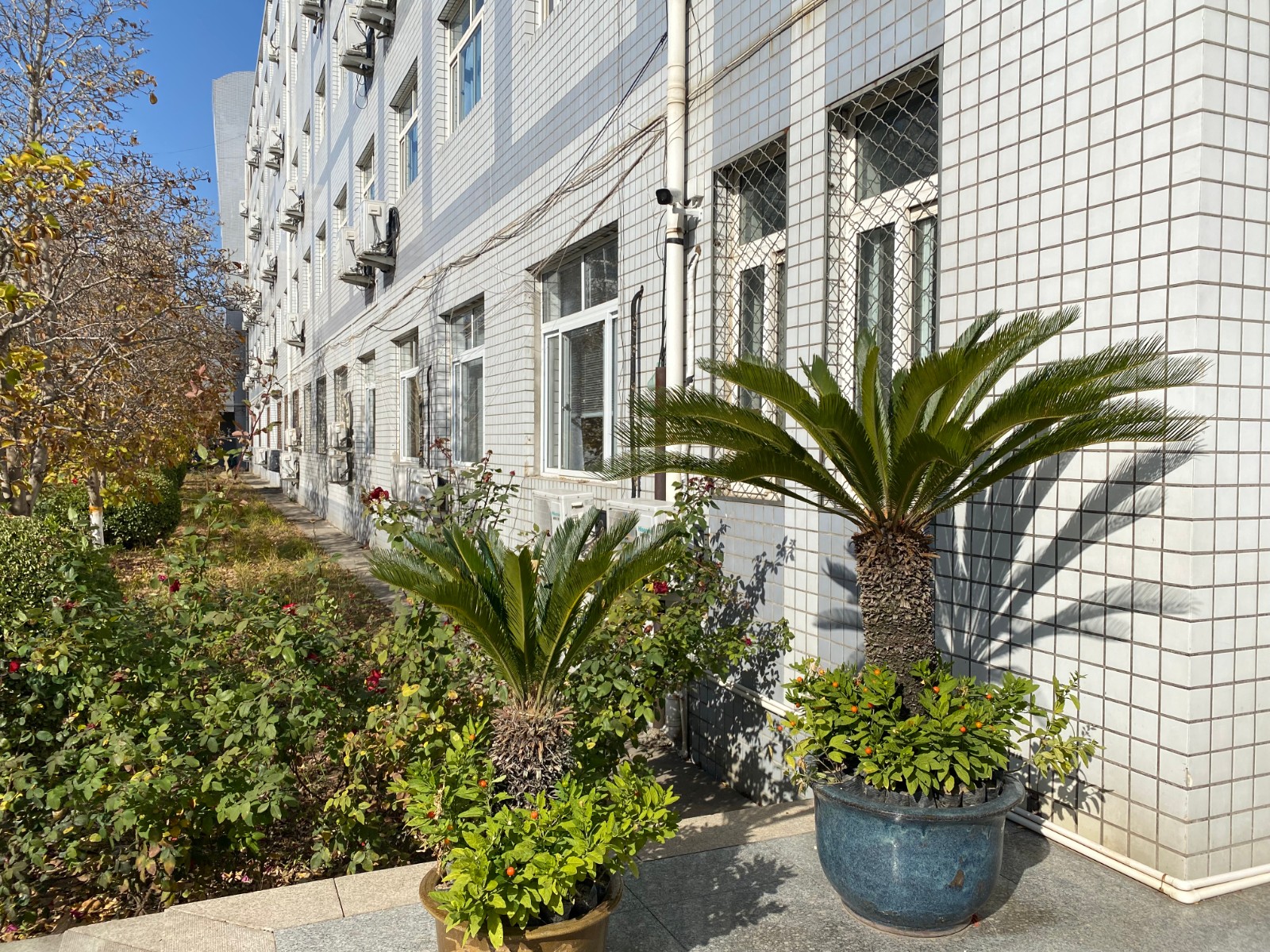 北京化工大學(xué)校園風(fēng)景5